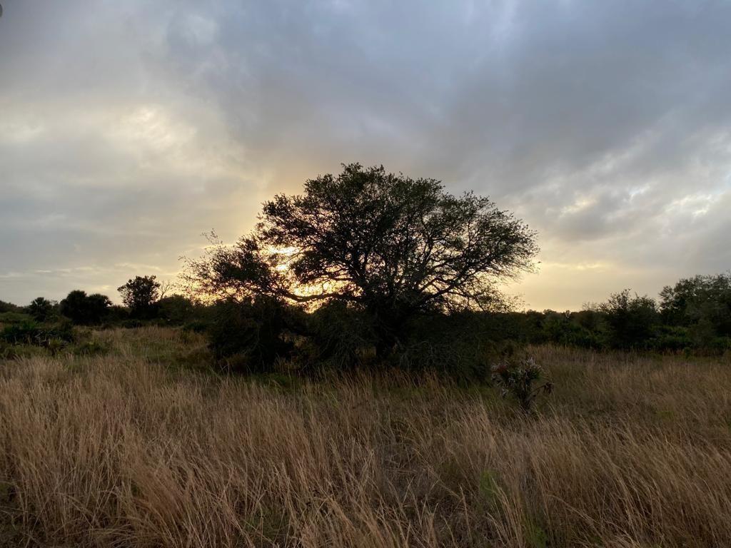 THE SOUTHERN COLONIZATION - Land