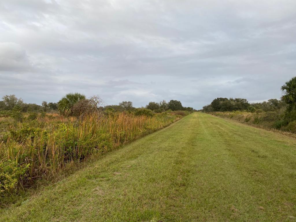 THE SOUTHERN COLONIZATION - Land