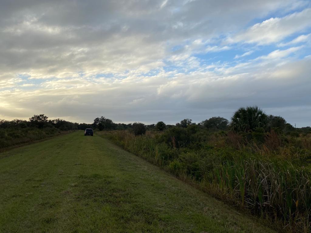 THE SOUTHERN COLONIZATION - Land