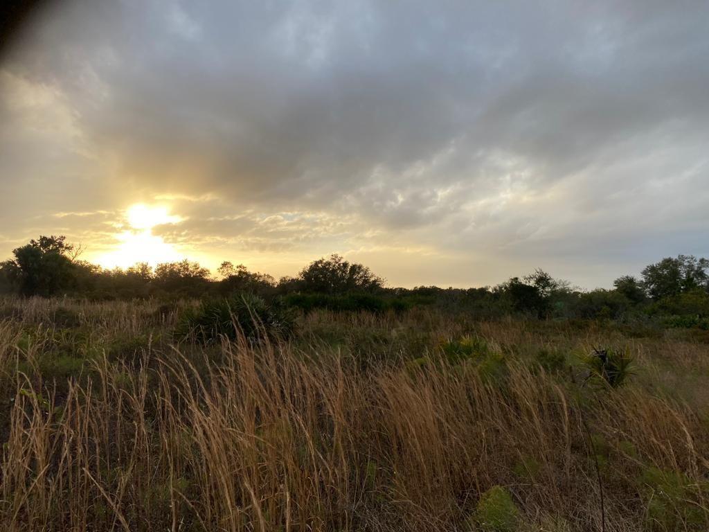 THE SOUTHERN COLONIZATION - Land