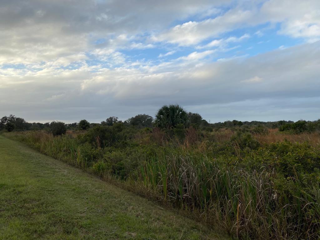 THE SOUTHERN COLONIZATION - Land