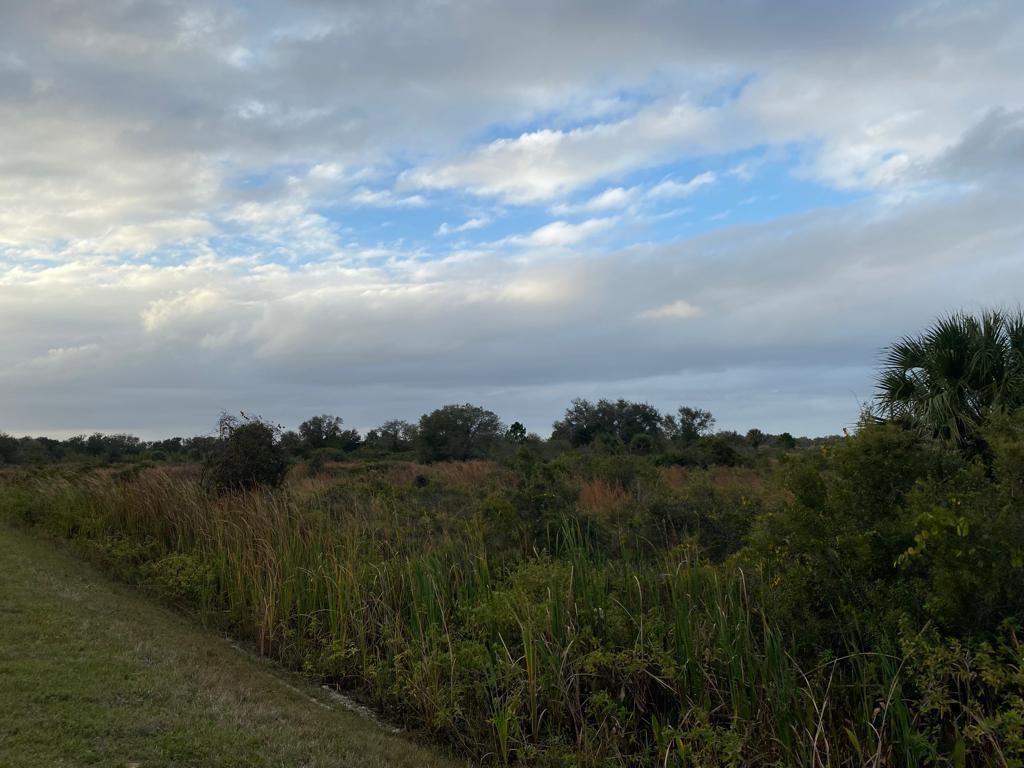 THE SOUTHERN COLONIZATION - Land