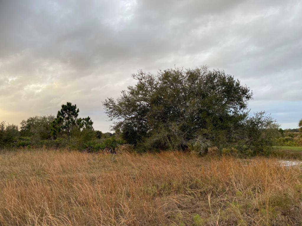 Large Open Area for your Family Retreat! Bring Granny, Grandpa and the Kids! Let them enjoy Old Florida, Build your dream home resort for the whole family to enjoy! or Build memories and have your 2nd home here in Old Florida!