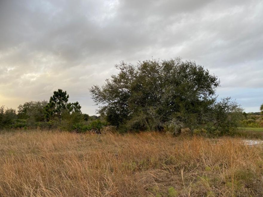 Large Open Area for your Family Retreat! Bring Granny, Grandpa and the Kids! Let them enjoy Old Florida, Build your dream home resort for the whole family to enjoy! or Build memories and have your 2nd home here in Old Florida!