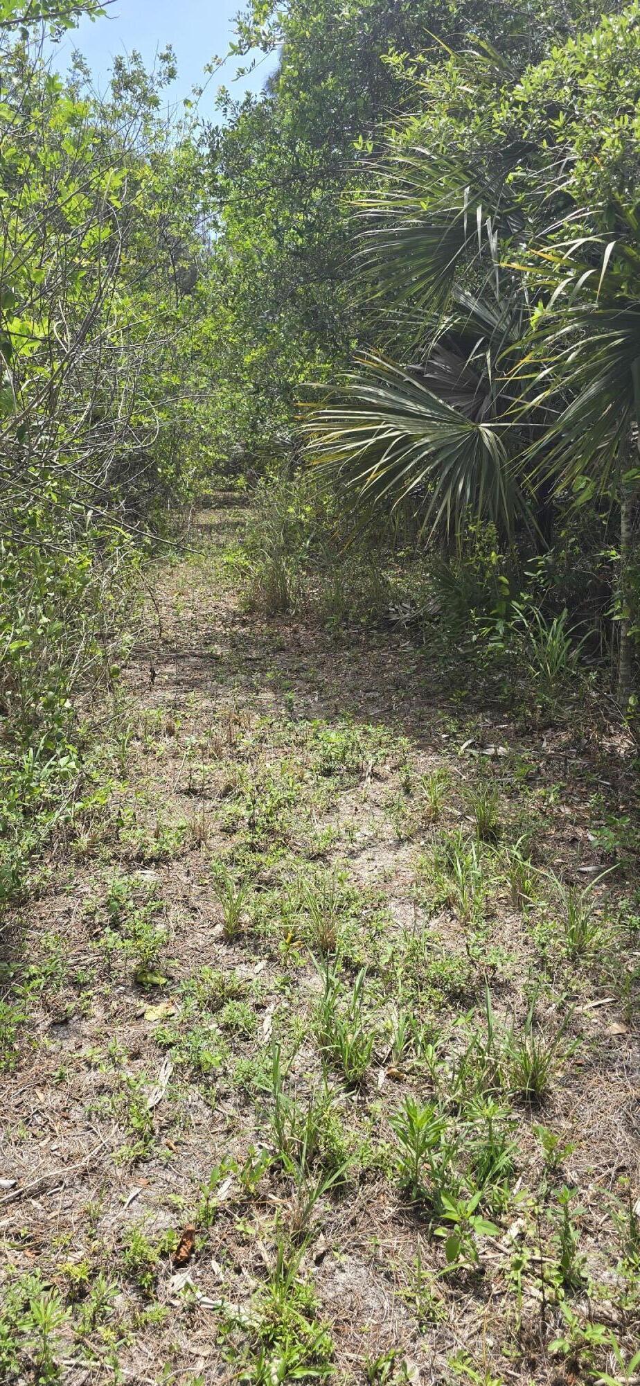 SUNNY URBAN MEADOWS - Land