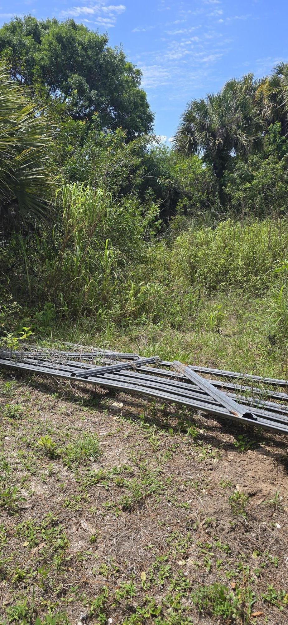 SUNNY URBAN MEADOWS - Land