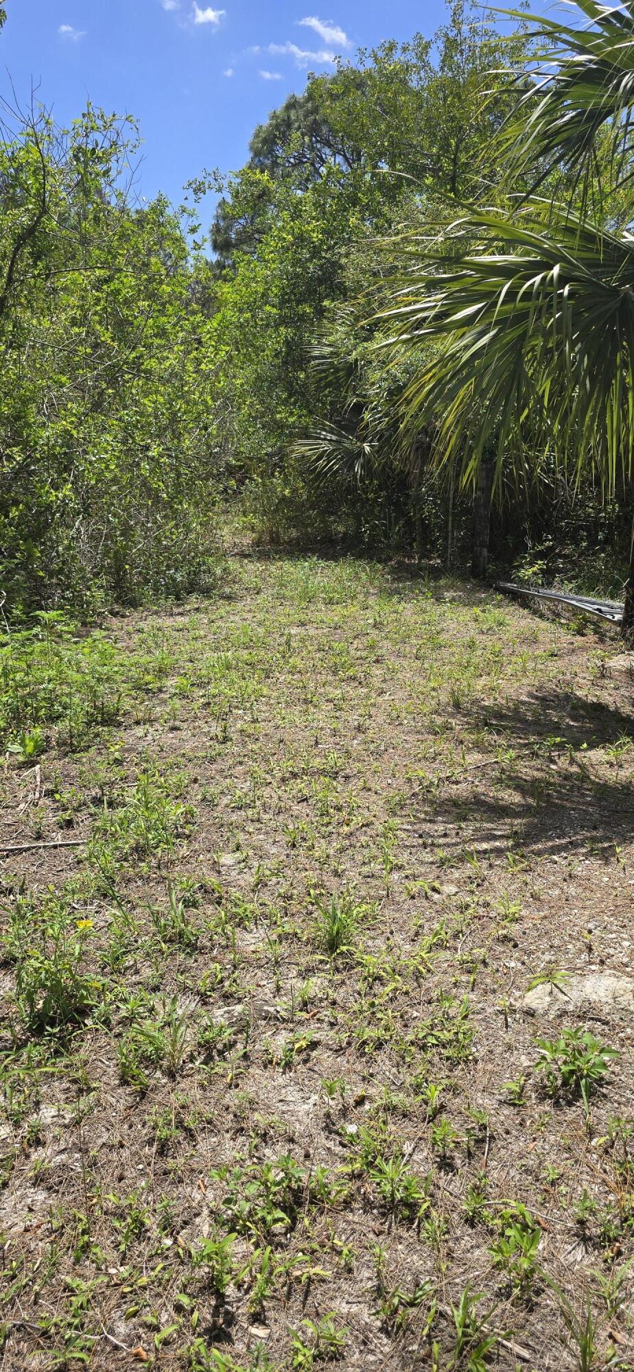 SUNNY URBAN MEADOWS - Land