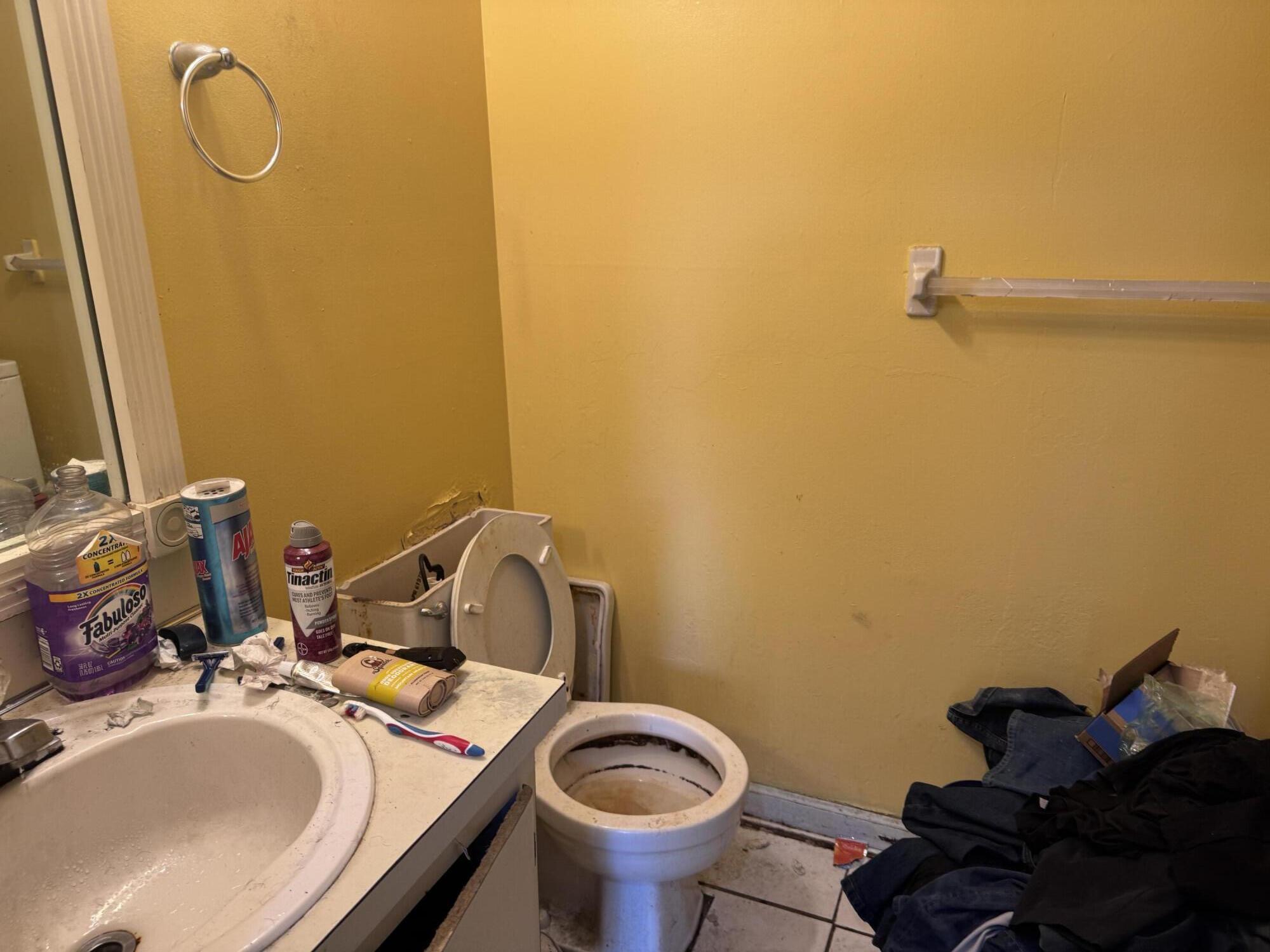 LAKE ISLAND - Residential