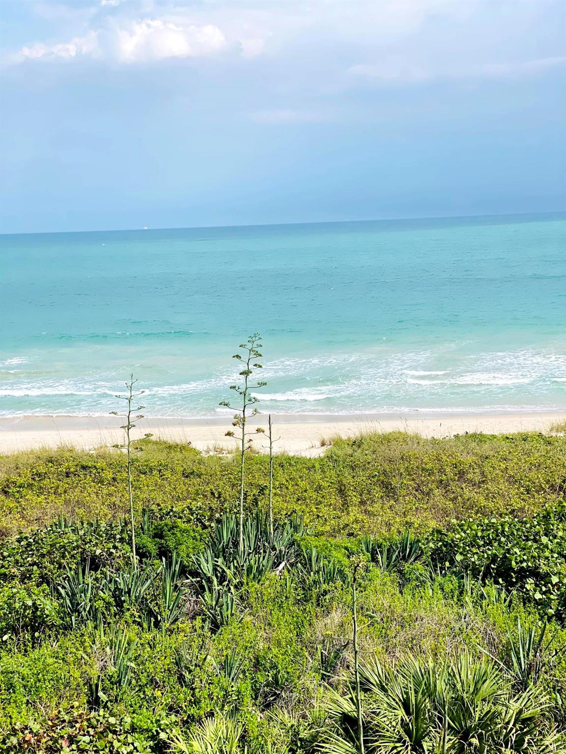 BEAUTIFUL OCEANFRONT 2 BEDROOMS/2 BATHROOM LOCATED ON NORTH HUTCHINSON ISLAND FOR SEASONNAL RENTAL (FURNISHED).VERY QUIET AND PEACEFUL.TOTALLY RENOVATED AND BEAUTIFULLY DECORATED.GATED COMMUNITY AND PRIVATE BEACH ACCESS, HEATED POOL AND CLUB ROOM.FULLY EQUIPED KICHEN(KITCHENAID MIXER/ NESPRESSO MACHINE/ELECTRIC KETTLE/POTS AND PANS/DINNERWARE AND GLASSWARE/SIVERWARE AND SERVING UTENSILS.... ECT..) CLOSE TO RESTAURANTS, SUPERMARKETS AND STORES.ALSO AVAILABLE FOR ANNUAL RENTAL ($4,950)