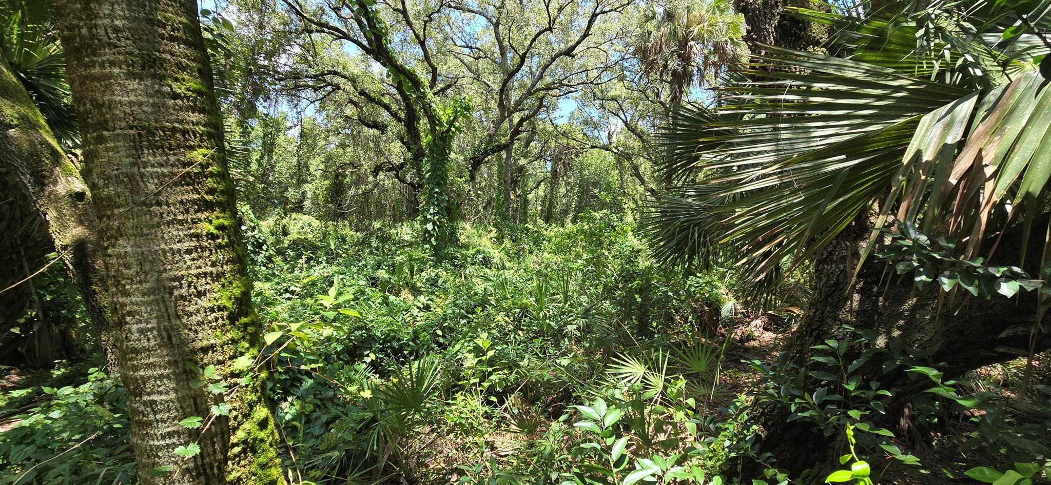 THEN RUN - Residential