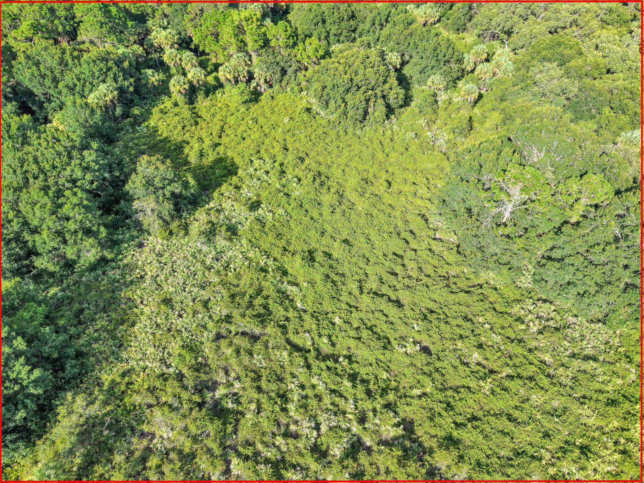 THEN RUN - Residential