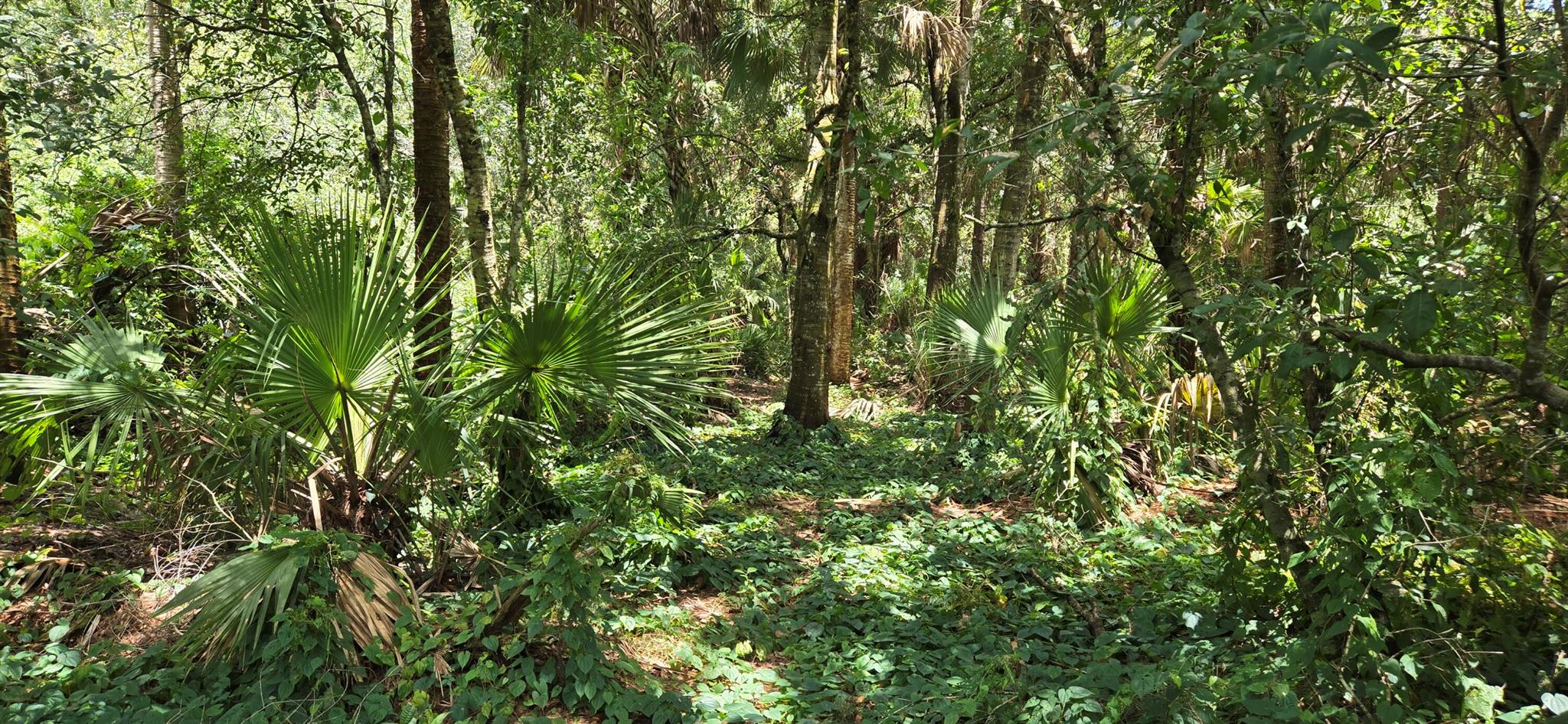 THEN RUN - Residential