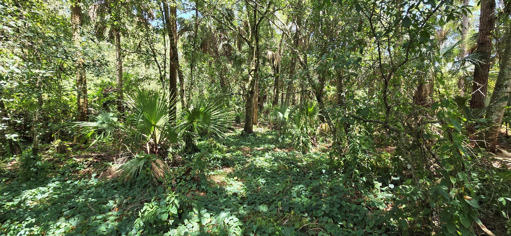 THEN RUN - Residential