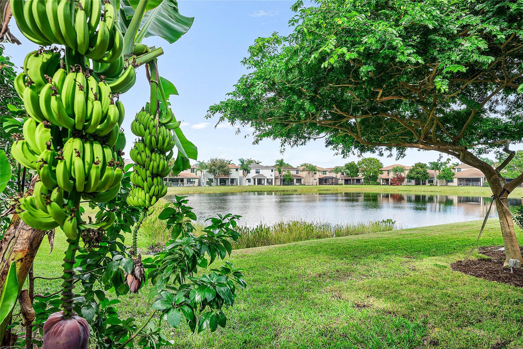 Atlantic Commons 5 - Residential