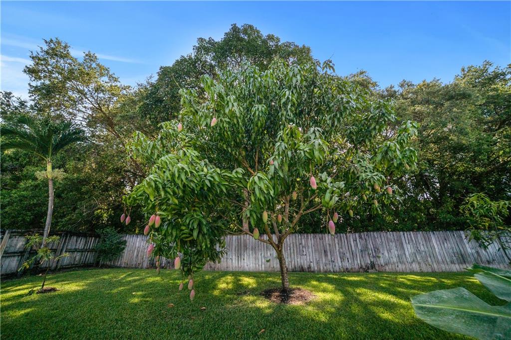 Pine Tree Estates - Residential