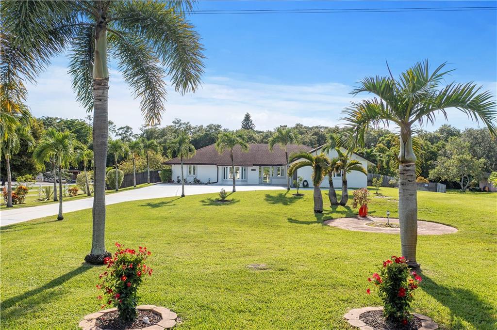 Pine Tree Estates - Residential