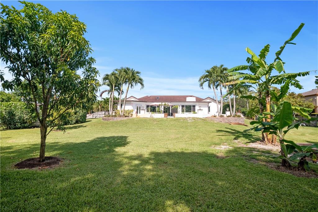 Pine Tree Estates - Residential
