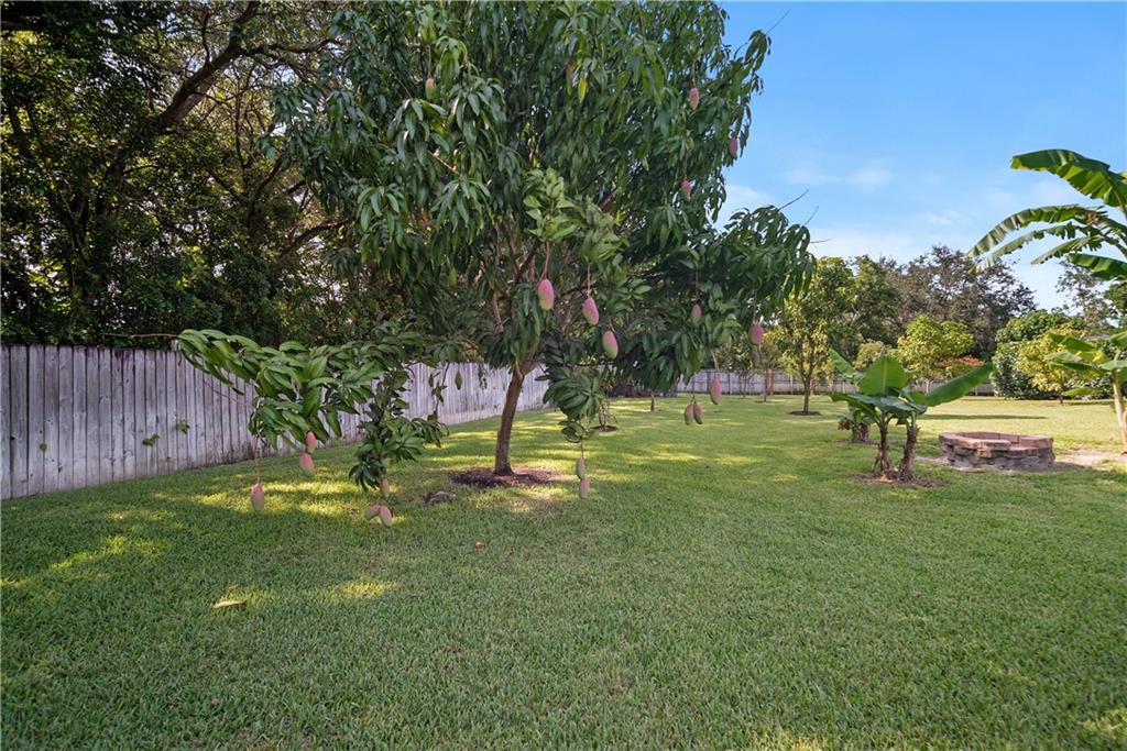 Pine Tree Estates - Residential