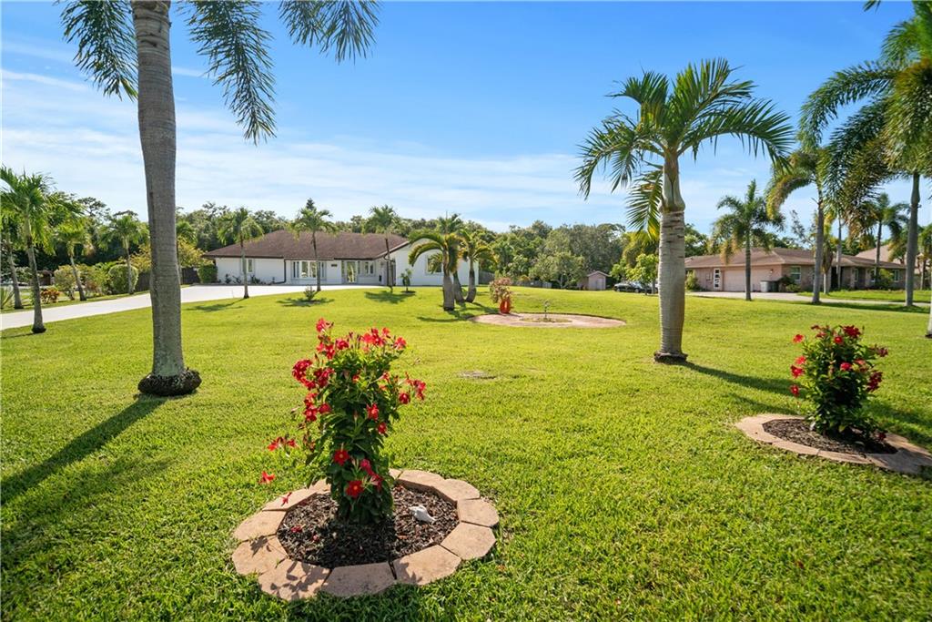 Pine Tree Estates - Residential