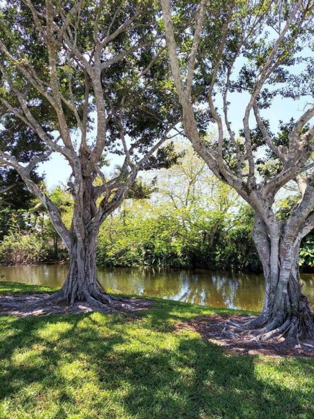 Photo of 12019 W Greenway Dr #203, Royal Palm Beach, FL 33411 (MLS # R11117662)