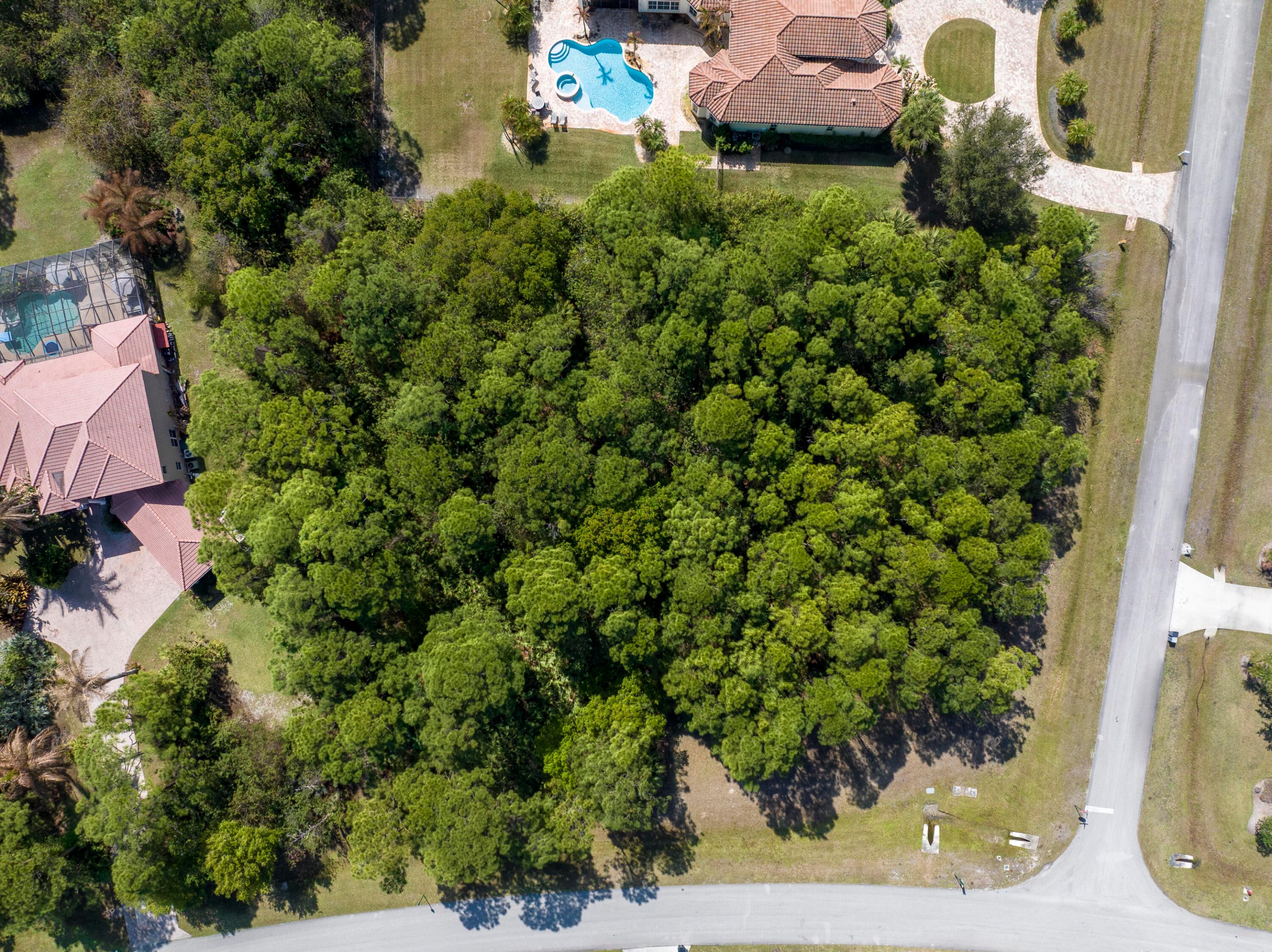 SABAL CREEK PHASE 4 - Land