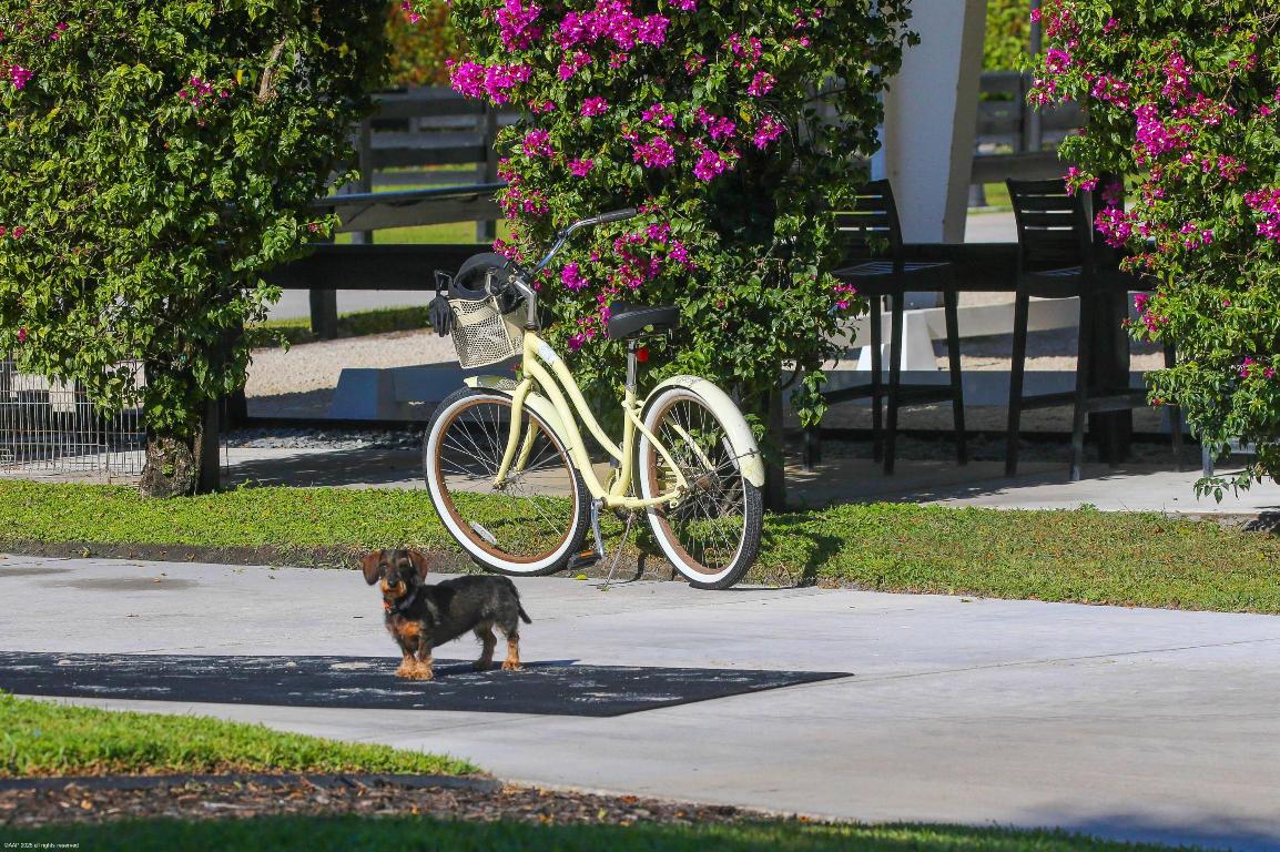 PADDOCK PARK 2 OF WELLINGTON - Residential