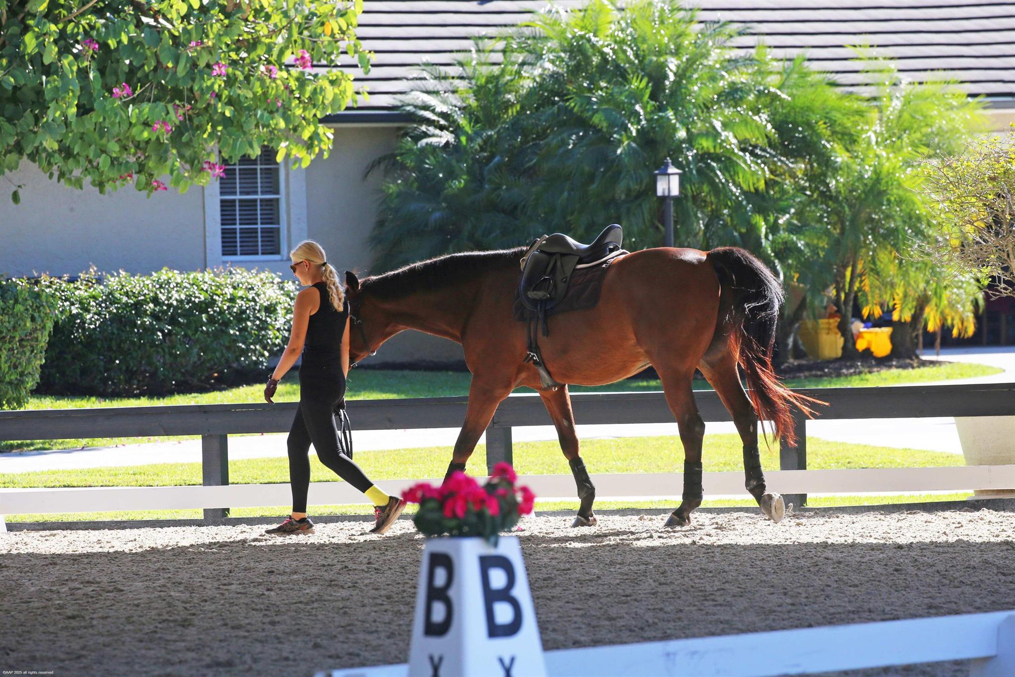 PADDOCK PARK 2 OF WELLING - Residential