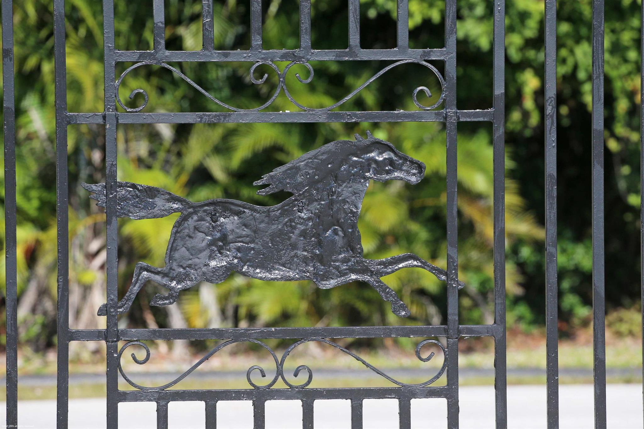 14334 Wellington Trace