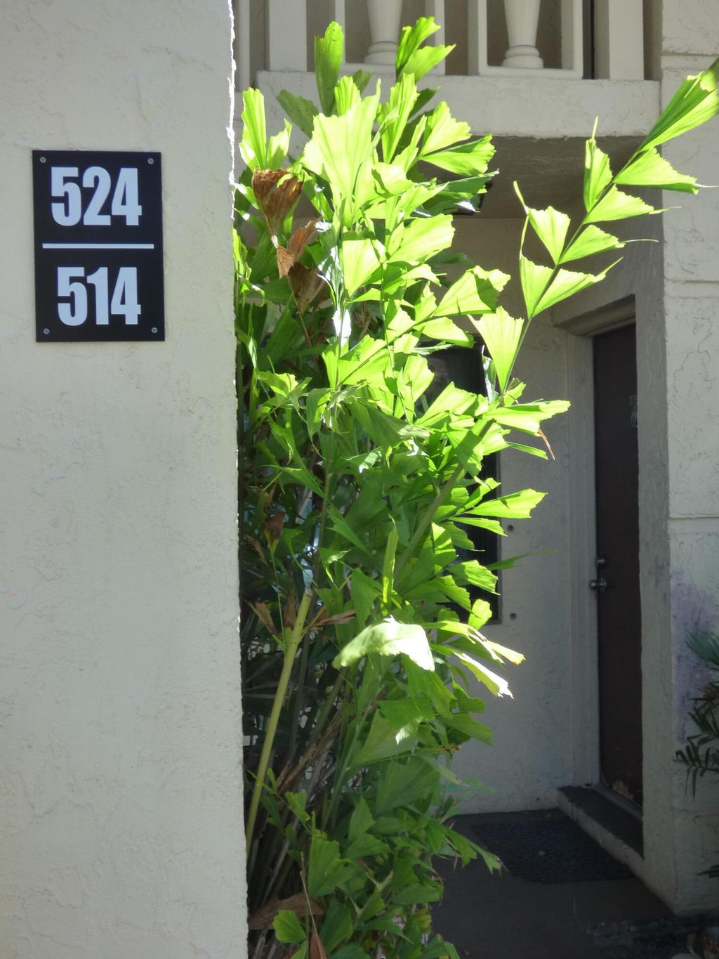 Photo of 132 S South Cypress Rd, Pompano Beach, FL 33060 (MLS # B26000666)