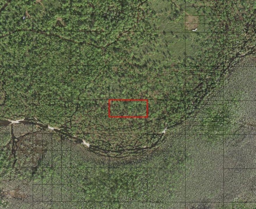 Own 1.26 acres in Holopaw Groves Recreational Area. Camp, hunt and ride!Owner financing available