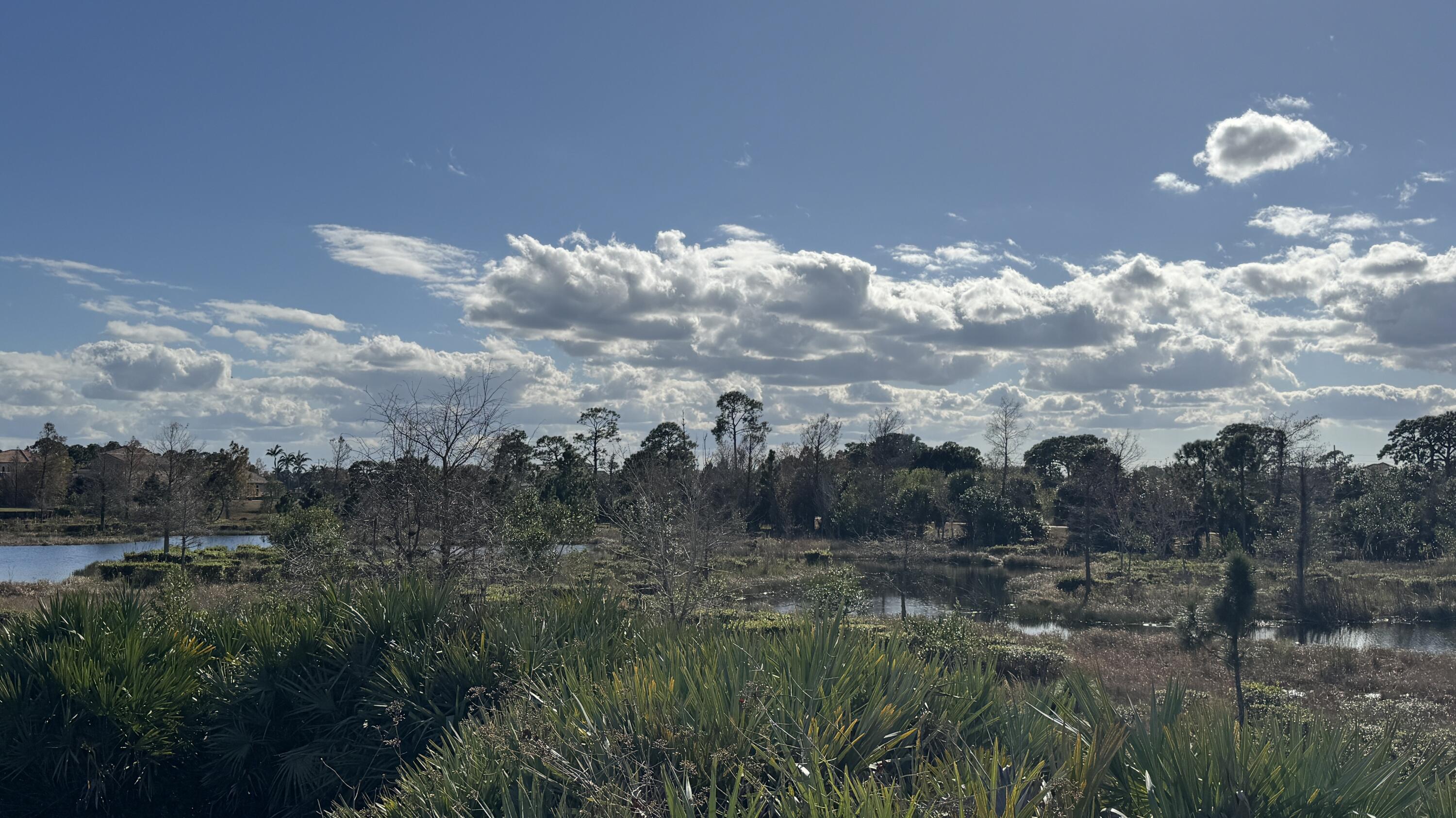 TESORO PLAT NO 5 - Land