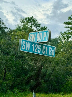 ADDRESS PRIVATE, REDDICK, FL  - Image 879d06e10aa4e258e17ec54d877c8271/339419837