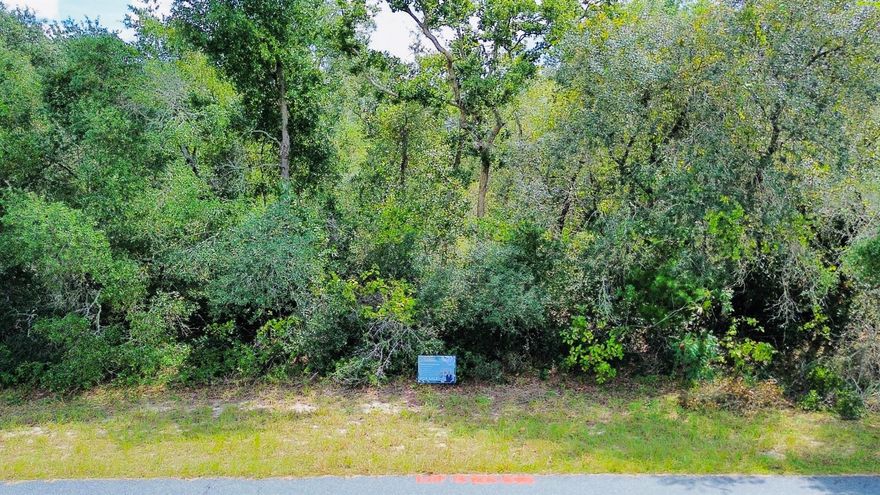 Spacious 0.29-acre lot in the desirable Marion Oaks Unit 5 neighborhood, ready for your new home. A boundary survey has already been completed, streamlining the building process. The property offers electric and public water access, with septic required for sewer, and paved road frontage already in place. Located within a deed-restricted community and positioned in a dry Zone X area, you'll enjoy added confidence in your investment. Conveniently situated just 5 minutes from the Marion Oaks Community Center and only 30 minutes from the World Equestrian Center, this homesite provides an excellent balance of peaceful living with easy access to shopping, dining, and equestrian venues.