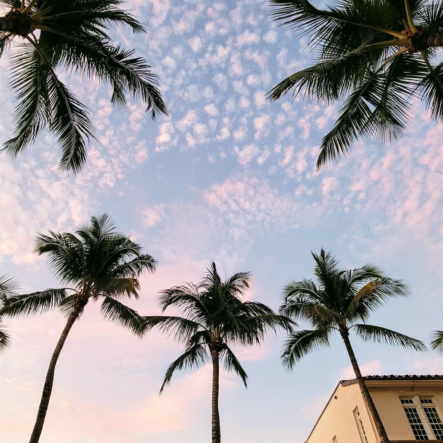 ISLE OF SANDALFOOT CONDO - Residential