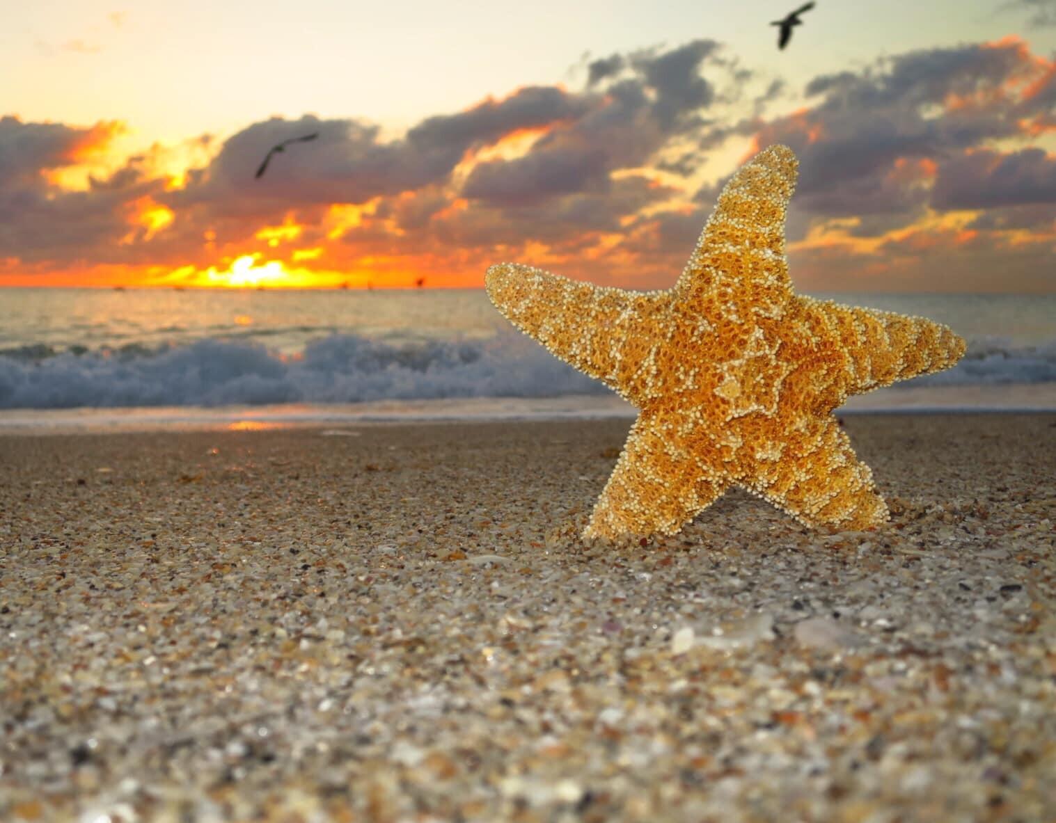 BERMUDA HOUSE CONDOMINIUM - Residential