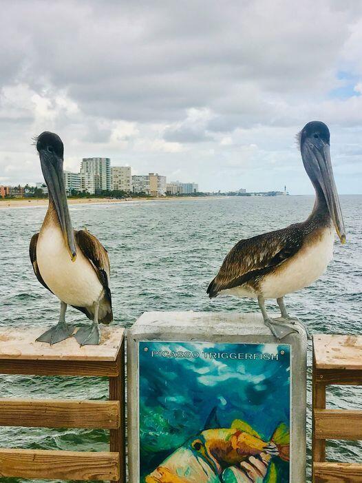 BERMUDA HOUSE CONDOMINIUM - Residential