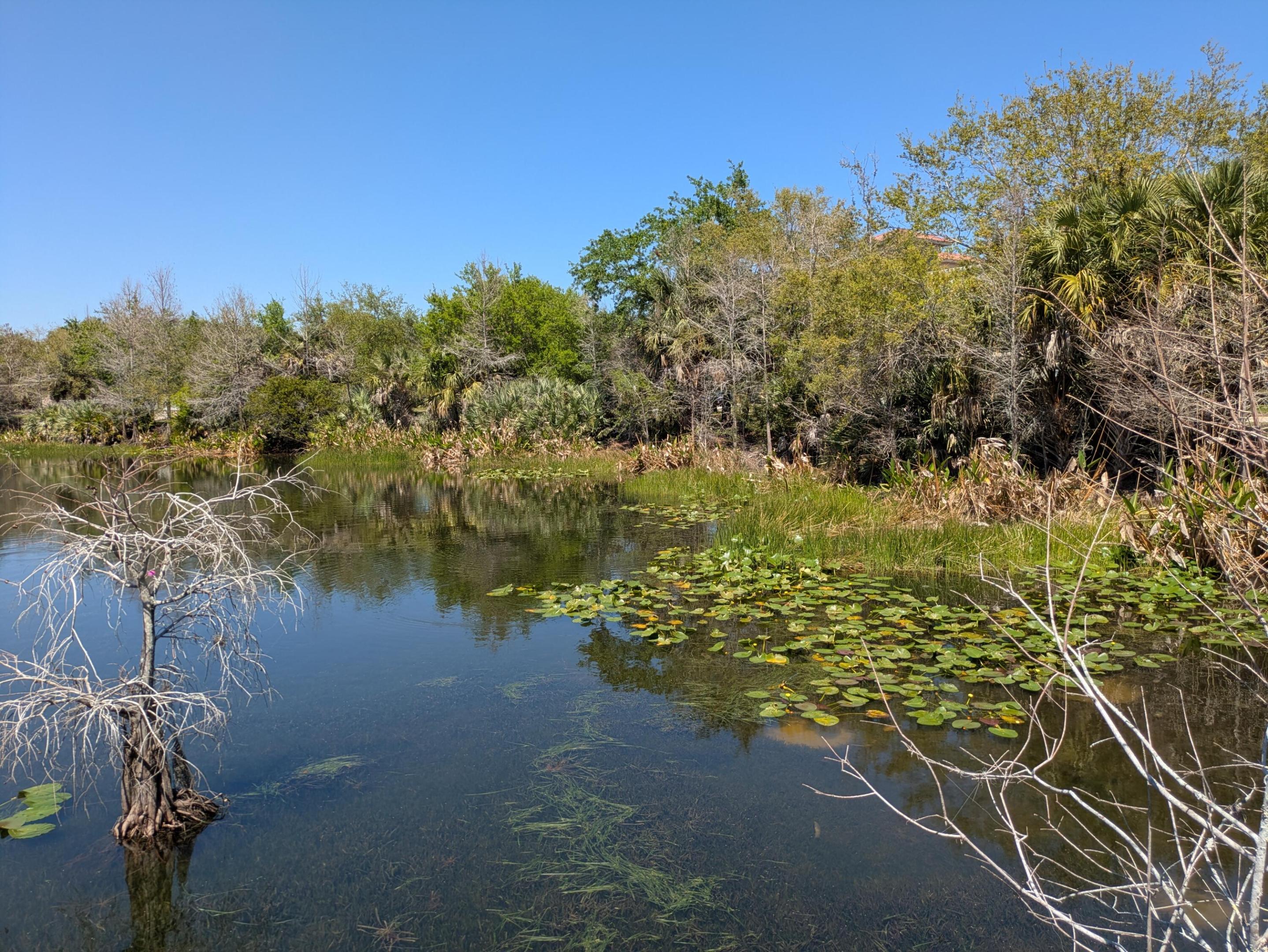 EAST LAKE VILLAGE NO 3 - Residential