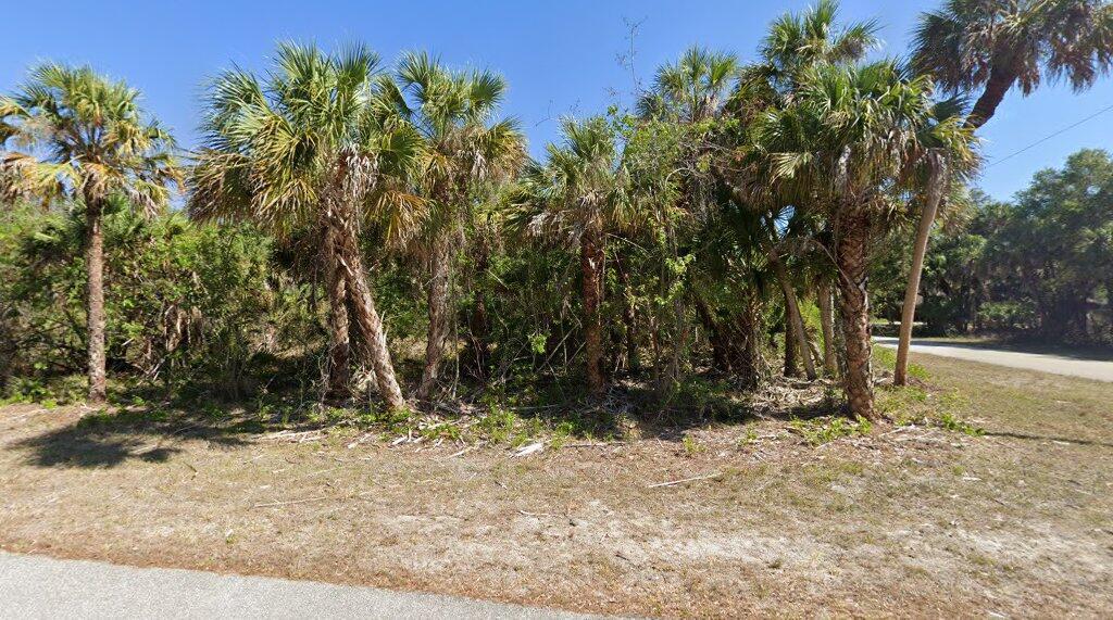 Beautiful and spacious corner lot to build your DREAM HOME!! Paved road on both front and right side of property . Minutes from I75 & shopping centers, restaurants, & schools. Nearby Warm Mineral Springs.