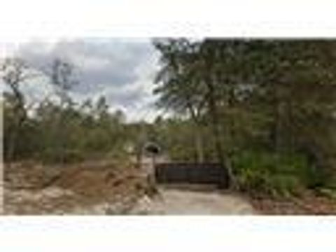 Tbd Hurley Interlachen FL 32148