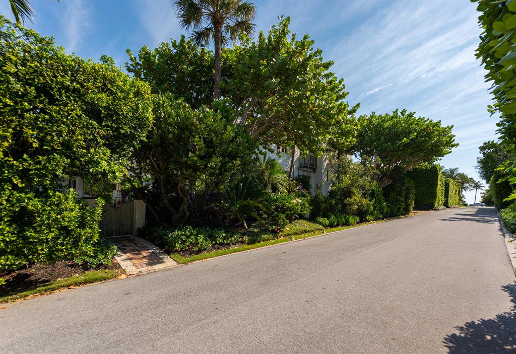 Tropical Isle - Residential