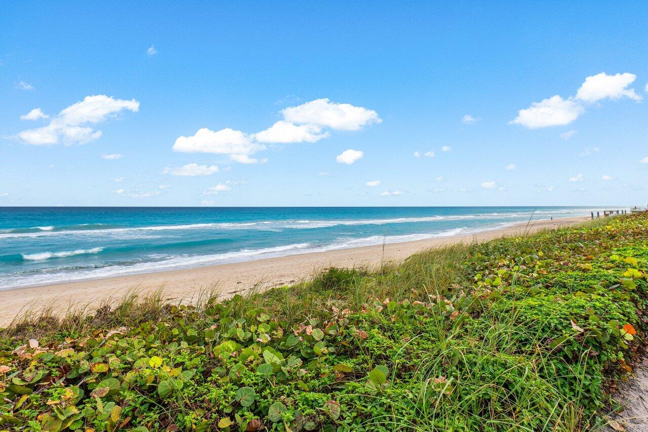 HALCYON OF PALM BEACH - Residential