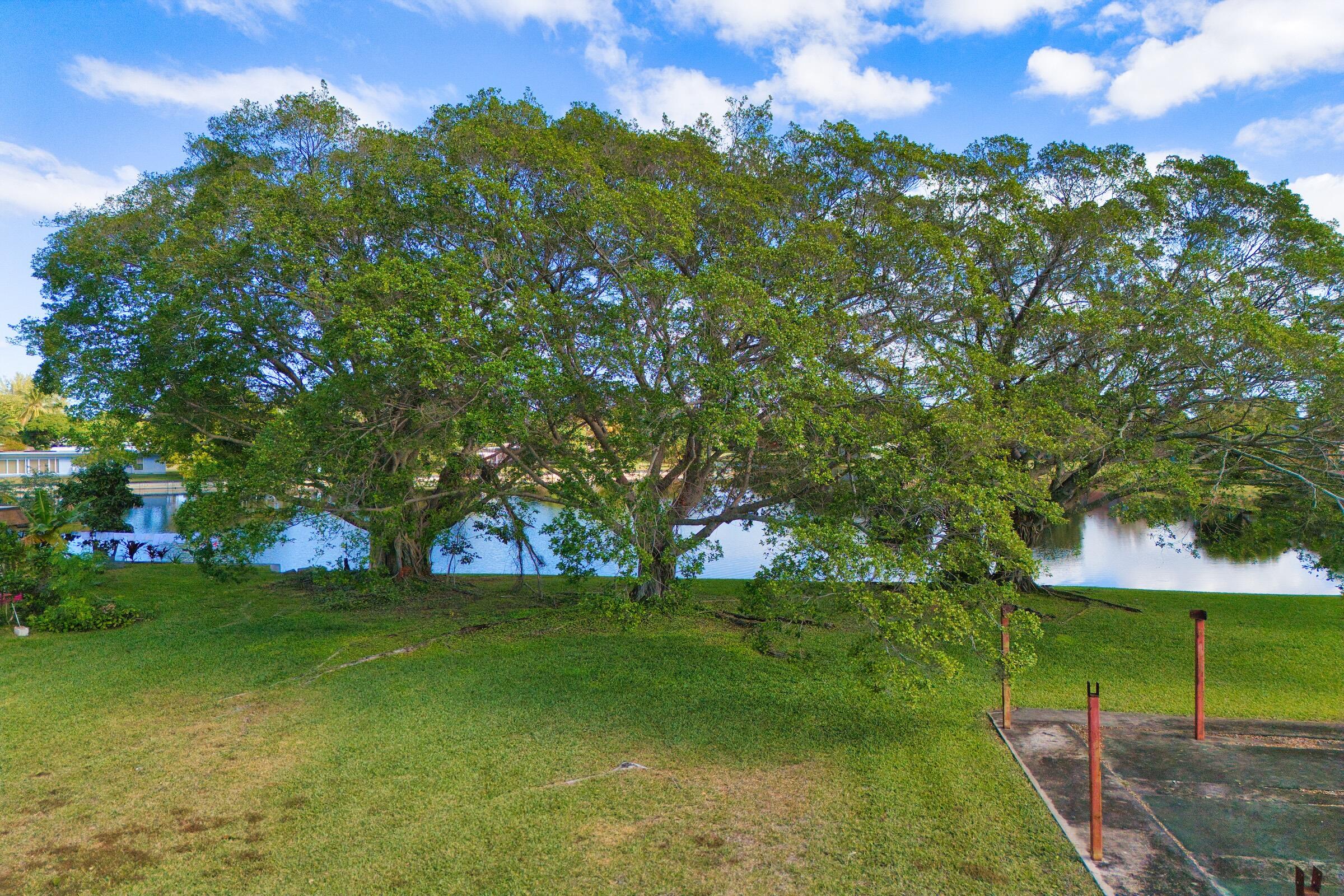 MAINLANDS OF TAMARAC LAKE - Residential