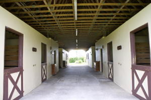 Palm Beach Point As - Residential