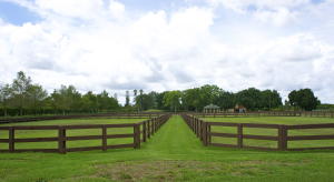 Palm Beach Point As - Residential