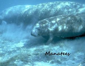 GEORGIAN PARK - Residential Lease