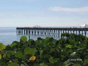 GEORGIAN PARK - Residential Lease