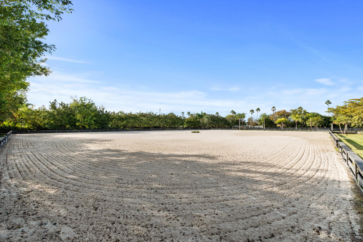 SADDLE TRAIL PARK OF WELLINGTON - Residential