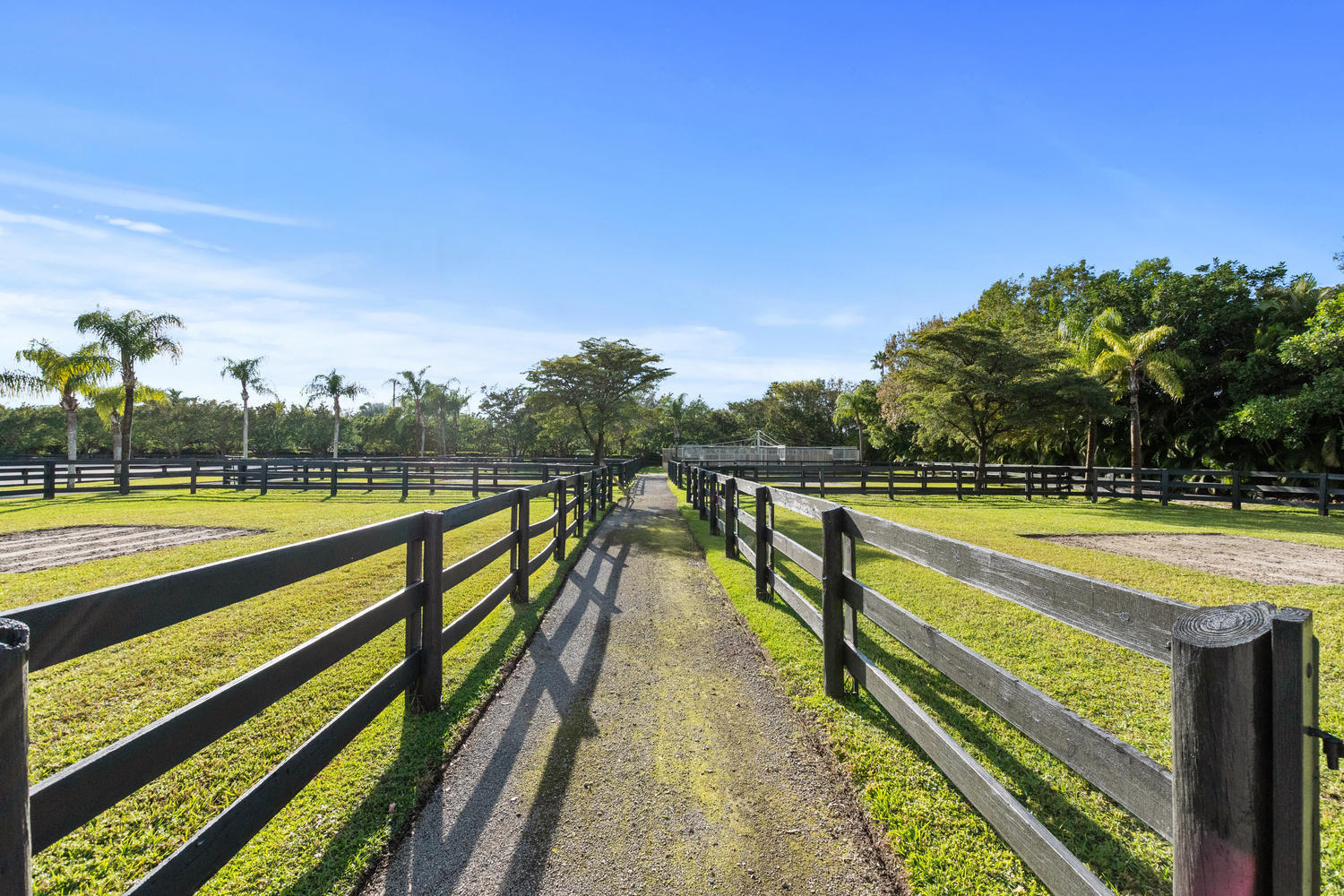 SADDLE TRAIL PARK OF WELLINGTON - Residential