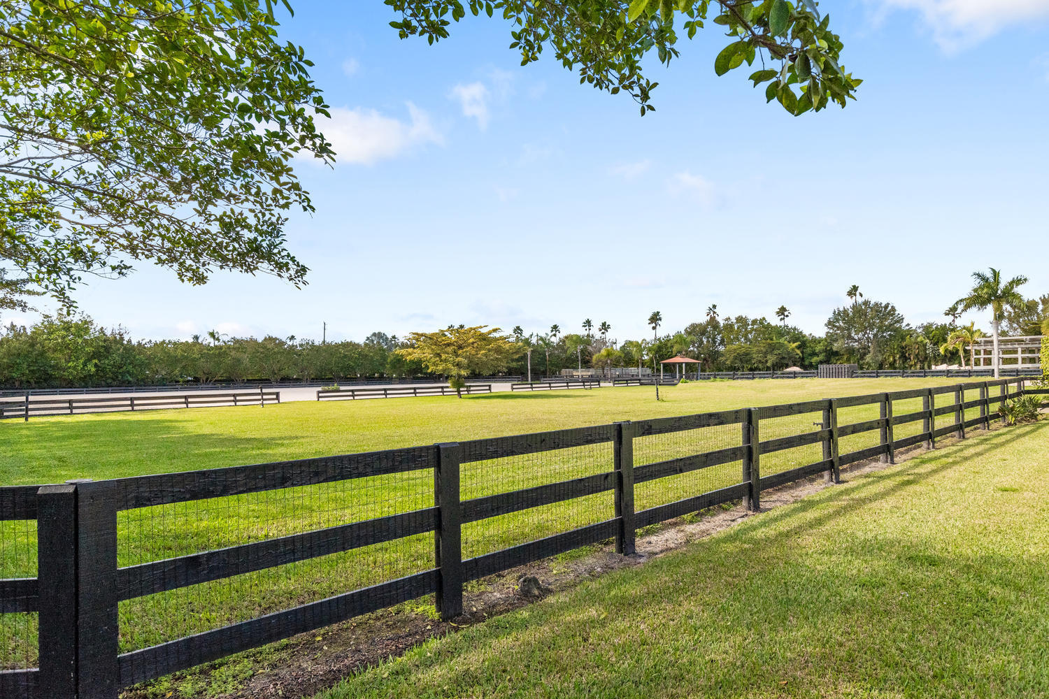 SADDLE TRAIL PARK OF WELLINGTON - Residential