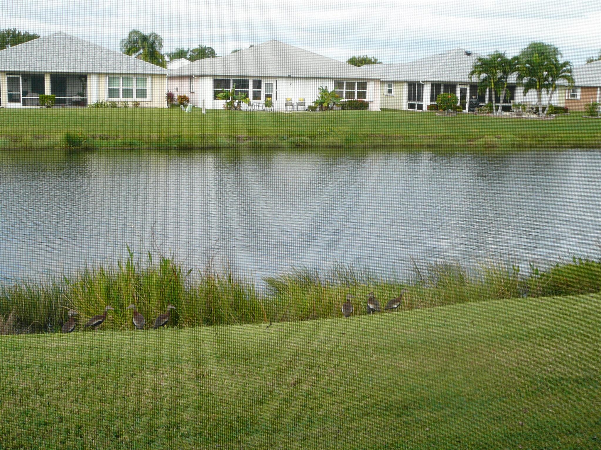 PALM GROVE SUBDIVISION - Residential